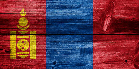 Mongolia Flag painted on old wood plank textureの写真素材