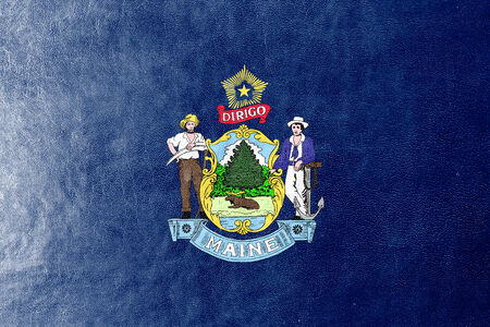 Maine State Flag painted on leather textureの写真素材