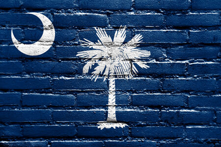 South Carolina State Flag painted on brick wallの写真素材