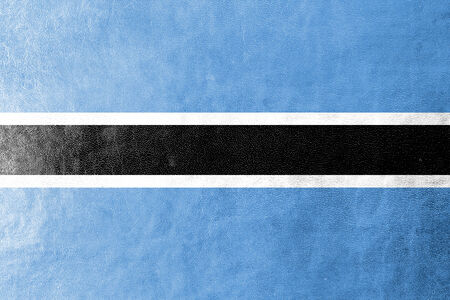 Botswana Flag painted on leather textureの写真素材