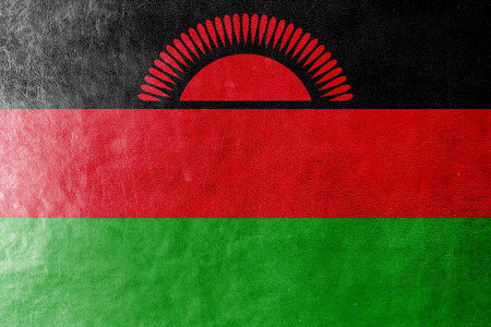 Malawi Flag painted on leather textureの写真素材