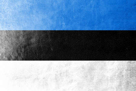 Estonia Flag painted on leather textureの写真素材