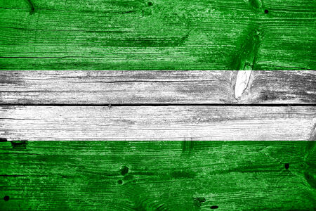 Rotterdam City Flag painted on old wood plank textureの写真素材