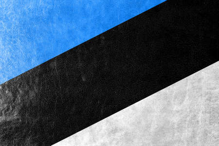 Estonia Flag painted on leather textureの写真素材