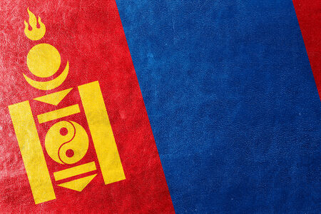 Mongolia Flag painted on leather textureの写真素材