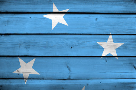 Micronesia Flag on wood backgroundの写真素材