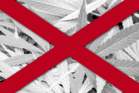 Alabama State Flag on cannabis background. Drug policy. Legalization of marijuanaの写真素材