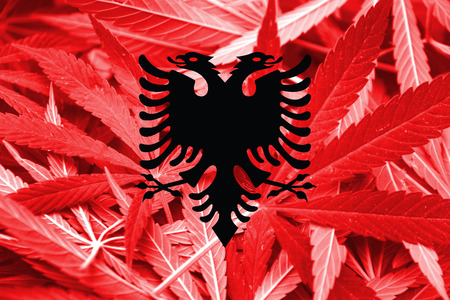 Albania Flag on cannabis background. Drug policy. Legalization of marijuanaの写真素材