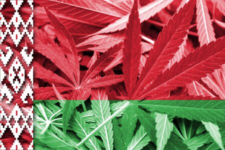 Belarus Flag on cannabis background. Drug policy. Legalization of marijuanaの写真素材