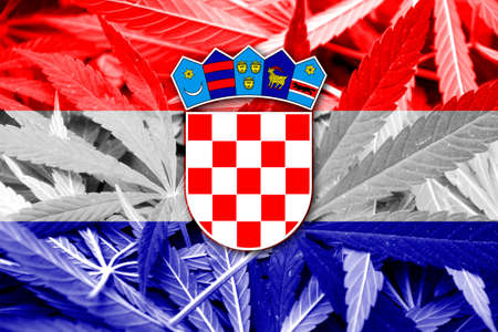 Croatia Flag on cannabis background. Drug policy. Legalization of marijuanaの写真素材