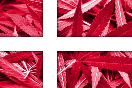 Denmark Flag on cannabis background. Drug policy. Legalization of marijuanaの写真素材