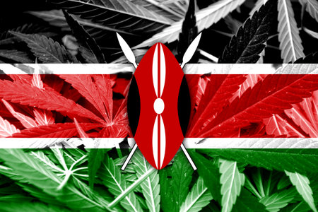Kenya Flag on cannabis background. Drug policy. Legalization of marijuanaの写真素材