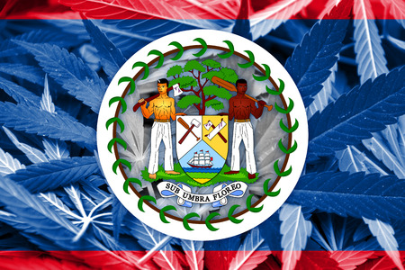 Belize Flag on cannabis background. Drug policy. Legalization of marijuanaの写真素材