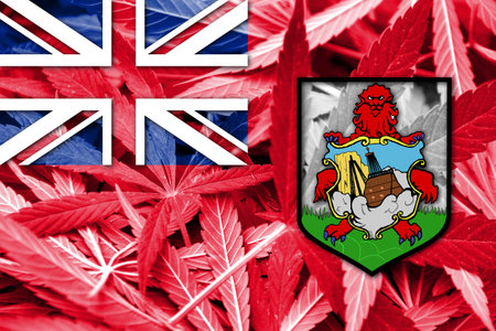 Bermuda Flag on cannabis background. Drug policy. Legalization of marijuanaの写真素材