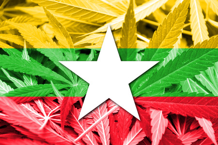 Burma Flag on cannabis background. Drug policy. Legalization of marijuanaの写真素材