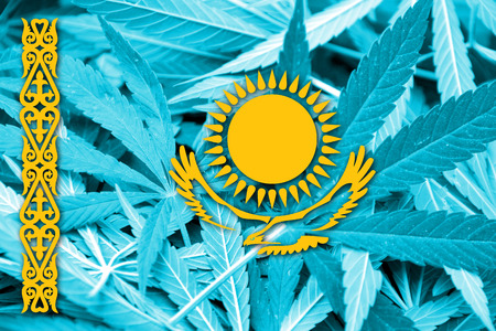 Kazakhstan Flag on cannabis background. Drug policy. Legalization of marijuanaの写真素材