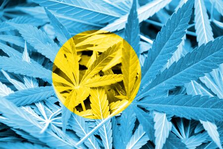 Palau Flag on cannabis background. Drug policy. Legalization of marijuanaの写真素材