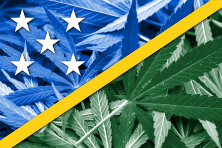 Solomon Islands Flag on cannabis background. Drug policy. Legalization of marijuanaの写真素材