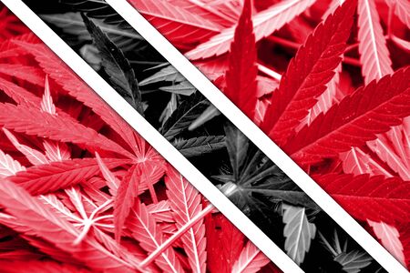 Trinidad and Tobago Flag on cannabis background. Drug policy. Legalization of marijuanaの写真素材