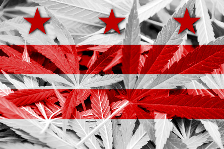 Washington DC Flag on cannabis background. Drug policy. Legalization of marijuanaの写真素材