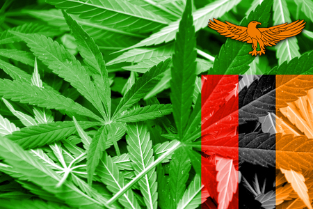 Zambia Flag on cannabis background. Drug policy. Legalization of marijuanaの写真素材