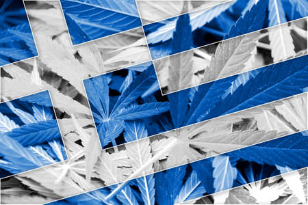 Greece Flag on cannabis background. Drug policy. Legalization of marijuanaの写真素材