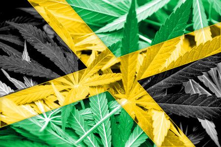 Jamaica Flag on cannabis background. Drug policy. Legalization of marijuanaの写真素材