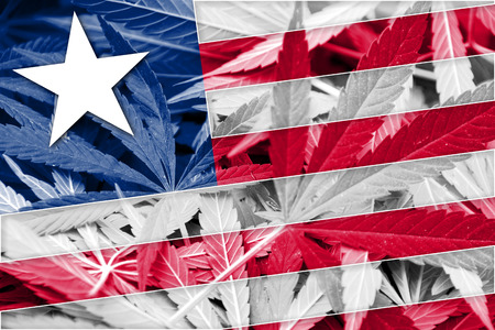 Liberia Flag on cannabis background. Drug policy. Legalization of marijuanaの写真素材