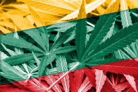 Lithuania Flag on cannabis background. Drug policy. Legalization of marijuanaの写真素材