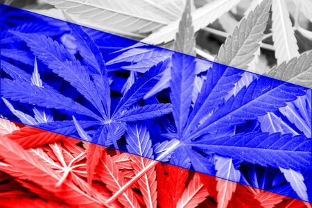 Russia Flag on cannabis background. Drug policy. Legalization of marijuanaの写真素材