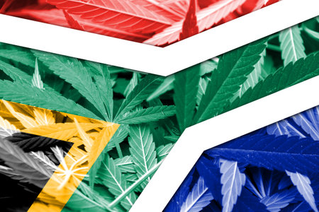 South Africa Flag on cannabis background. Drug policy. Legalization of marijuanaの写真素材