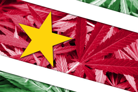 Suriname Flag on cannabis background. Drug policy. Legalization of marijuanaの写真素材