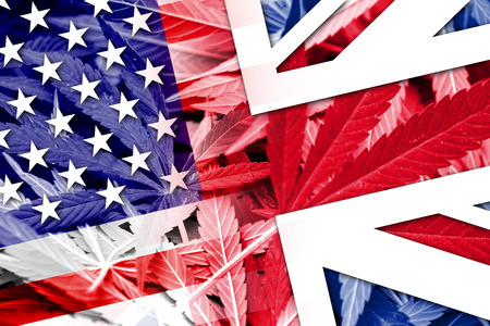 USA and UK Flag on cannabis background. Drug policy. Legalization of marijuanaの写真素材