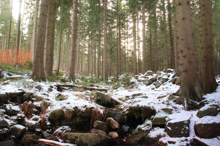 Winter river in the Polish forest. Mountain rocks covered with snow