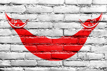 Flag of Easter Island, painted on brick wallの写真素材