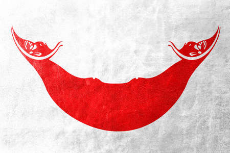 Flag of Easter Island, painted on leather textureの写真素材