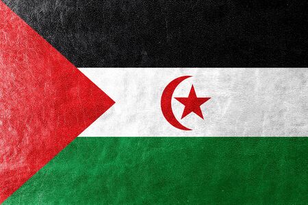 Flag of Sahrawi Arab Democratic Republic, painted on leather textureの写真素材