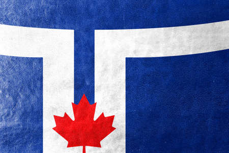 Flag of Toronto, painted on leather textureの写真素材
