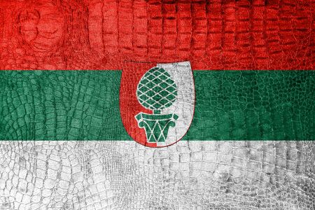Flag of Augsburg, on a luxurious, fashionable canvasの写真素材