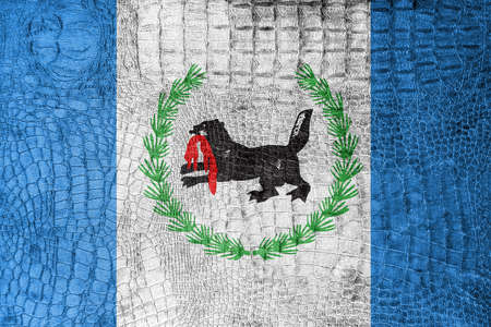 Flag of Irkutsk Oblast, on a luxurious, fashionable canvasの写真素材