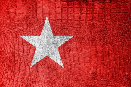 Flag of Maastricht, on a luxurious, fashionable canvasの写真素材