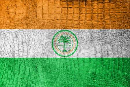 Flag of Miami, Florida, on a luxurious, fashionable canvasの写真素材