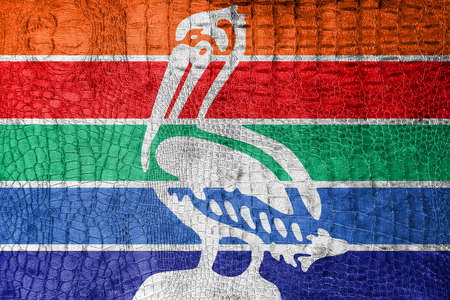 Flag of St. Petersburg, Florida, on a luxurious, fashionable canvasの写真素材