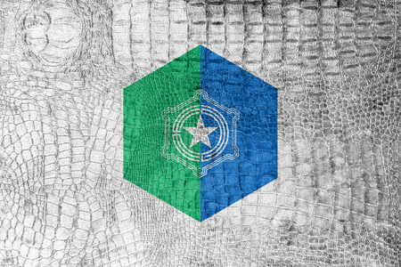 Flag of Sapporo, Japan, on a luxurious, fashionable canvasの写真素材