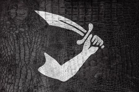 Thomas Tew Pirate Flag, on a luxurious, fashionable canvasの写真素材