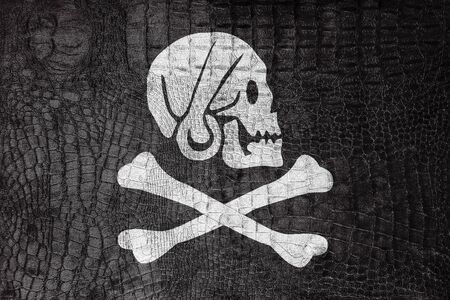 Henry Every Pirate Flag, on a luxurious, fashionable canvasの写真素材