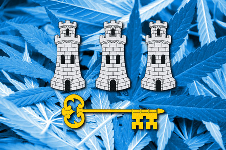 Flag of Havana, on cannabis backgroundの写真素材