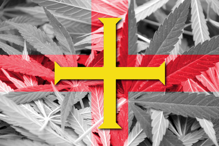 Flag of Guernsey, on cannabis backgroundの写真素材