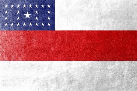 Flag of Amazonas State, Brazil, painted on leather textureの写真素材