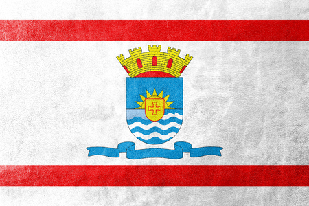 Flag of Florianopolis, Santa Catarina, Brazil, painted on leather textureの写真素材